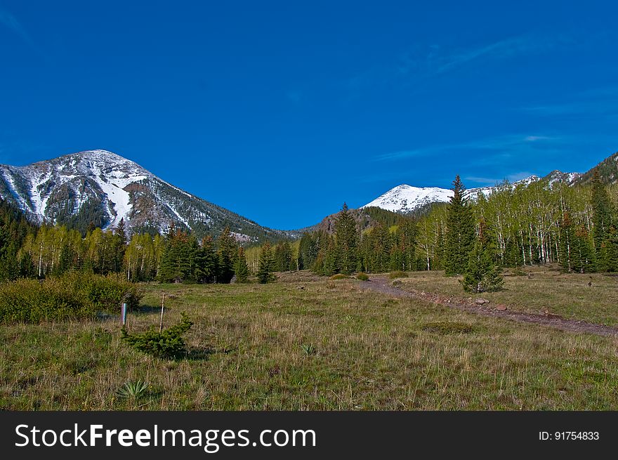 The Inner Basin Trail ascends from Lockett Meadow into the caldera of the San Francisco Peaks, an extinct volcano and home of the tallest peaks in Arizona. The first 1.7 miles of the trail winds through the extensive aspen forest flanking the upper reaches of the Peaks, joining the Waterline Trail briefly before following a jeep road into the caldera. The trail starts at an elevation of 8665 feet, gaining approximately 1200 feet over 2 miles on its way into the Inner Basin. The trail continues another 2 miles, gaining an additional 600 feet or so to join up with the Weatherford Trail. Photo by Deborah Lee Soltesz, May 2009. Credit: U.S. Forest Service, Coconino National Forest. For more information about this trail, see the Inner Basin No. 29 trail description on the Coconino National Forest website.