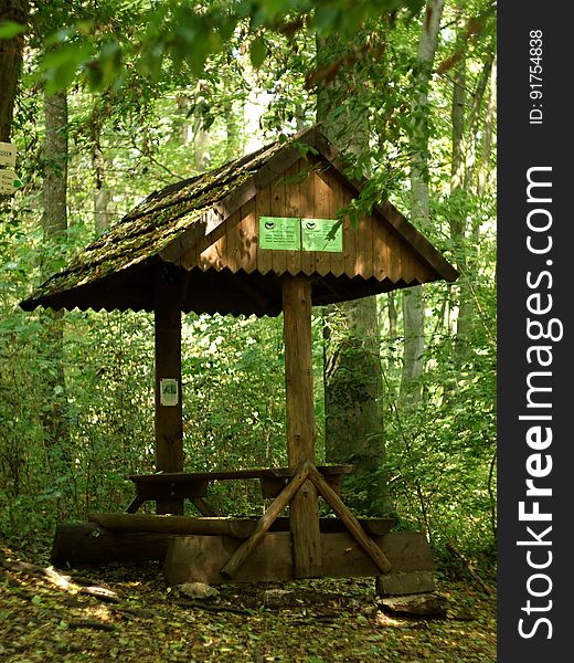 Taken in woods of Moravian Karst, Czech Republic. --- About Moravian Karst: www.moravskykras.net/en/moravian-karst.html. Taken in woods of Moravian Karst, Czech Republic. --- About Moravian Karst: www.moravskykras.net/en/moravian-karst.html