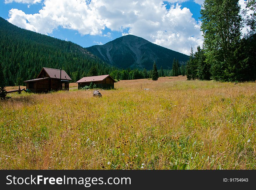 The Inner Basin Trail ascends from Lockett Meadow into the caldera of the San Francisco Peaks, an extinct volcano and home of the tallest peaks in Arizona. The first 1.7 miles of the trail winds through the extensive aspen forest flanking the upper reaches of the Peaks, joining the Waterline Trail briefly before following a jeep road into the caldera. The trail starts at an elevation of 8665 feet, gaining approximately 1200 feet over 2 miles on its way into the Inner Basin. The trail continues another 2 miles, gaining an additional 600 feet or so to join up with the Weatherford Trail. Photo by Deborah Lee Soltesz, August 2015. Credit: U.S. Forest Service, Coconino National Forest. For more information about this trail, see the Inner Basin No. 29 trail description on the Coconino National Forest website.