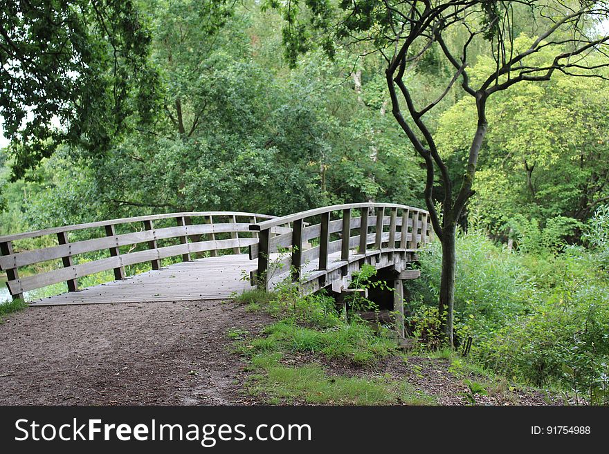 Free-to-use photo of a bridge in nature. Free-to-use photo of a bridge in nature