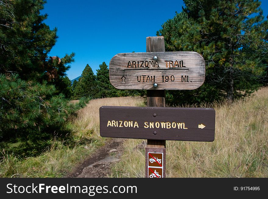 Aspen Loop / Arizona Trail
