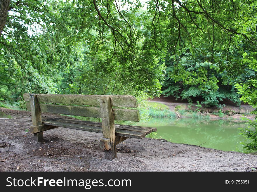Free-to-use photo of a bench in the forest. Free-to-use photo of a bench in the forest