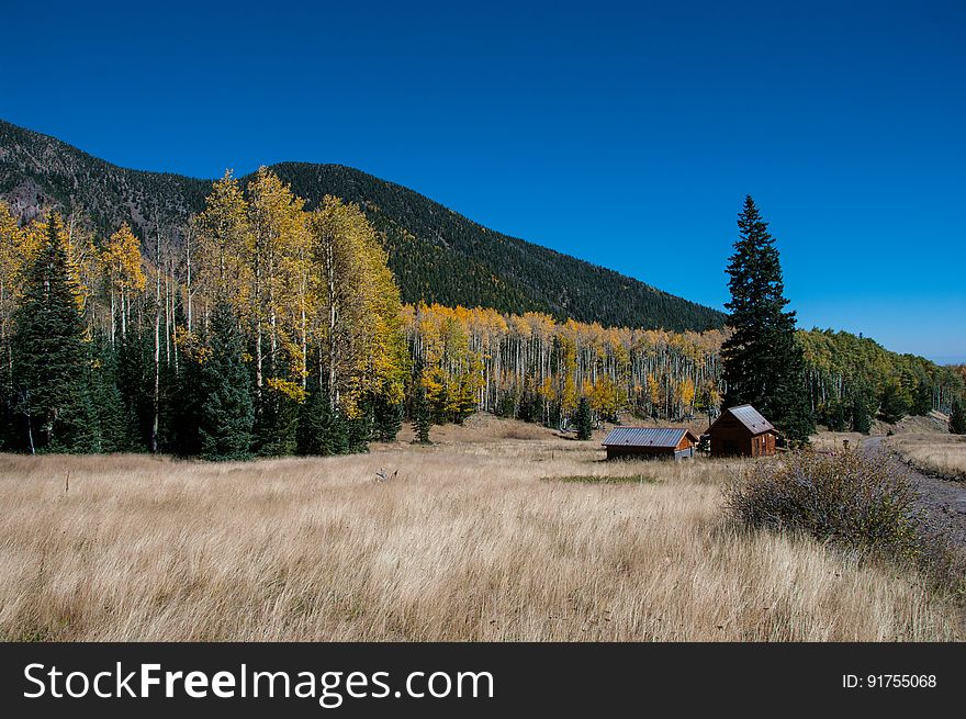 The Inner Basin Trail ascends from Lockett Meadow into the caldera of the San Francisco Peaks, an extinct volcano and home of the tallest peaks in Arizona. The first 1. 7 miles of the trail winds through the extensive aspen forest flanking the upper reaches of the Peaks, joining the Waterline Trail briefly before following a jeep road into the caldera. The trail starts at an elevation of 8665 feet, gaining approximately 1200 feet over 2 miles on its way into the Inner Basin. The trail continues another 2 miles, gaining an additional 600 feet or so to join up with the Weatherford Trail. Photo by Deborah Lee Soltesz, October 1, 2015. Source: U. S. Forest Service, Coconino National Forest. See Lockett Meadow Campground and Inner Basin No. 29 for information about this area of the Peaks on the Coconino National Forest website. The Inner Basin Trail ascends from Lockett Meadow into the caldera of the San Francisco Peaks, an extinct volcano and home of the tallest peaks in Arizona. The first 1. 7 miles of the trail winds through the extensive aspen forest flanking the upper reaches of the Peaks, joining the Waterline Trail briefly before following a jeep road into the caldera. The trail starts at an elevation of 8665 feet, gaining approximately 1200 feet over 2 miles on its way into the Inner Basin. The trail continues another 2 miles, gaining an additional 600 feet or so to join up with the Weatherford Trail. Photo by Deborah Lee Soltesz, October 1, 2015. Source: U. S. Forest Service, Coconino National Forest. See Lockett Meadow Campground and Inner Basin No. 29 for information about this area of the Peaks on the Coconino National Forest website.