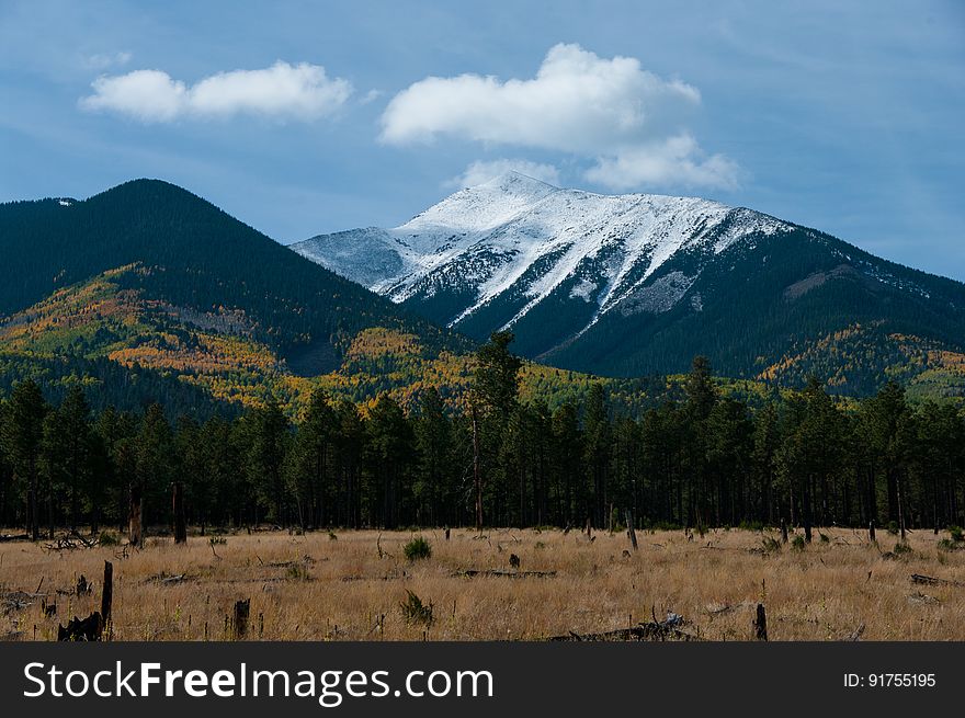 This drive takes you all the way around Arizona&#x27;s highest mountain, winding through a land of pine forests and aspen groves, open prairies and rustic homesteads. Autumn turns the mountain to gold, filling forest roads and trails with visitors come to enjoy the colorful display. There are a number of places along this route where you can stop to take a hike, enjoy a lunch or even set up a primitive camp. That way you can take more than one day to do this drive or combine it with one or more of the other scenic drives in the vicinity of the San Francisco Peaks. Photo by Deborah Lee Soltesz, October 8, 2015. Source: U.S. Forest Service, Coconino National Forest. See Around the Peaks Loop Scenic Drive for information about this drive on the Coconino National Forest website. This drive takes you all the way around Arizona&#x27;s highest mountain, winding through a land of pine forests and aspen groves, open prairies and rustic homesteads. Autumn turns the mountain to gold, filling forest roads and trails with visitors come to enjoy the colorful display. There are a number of places along this route where you can stop to take a hike, enjoy a lunch or even set up a primitive camp. That way you can take more than one day to do this drive or combine it with one or more of the other scenic drives in the vicinity of the San Francisco Peaks. Photo by Deborah Lee Soltesz, October 8, 2015. Source: U.S. Forest Service, Coconino National Forest. See Around the Peaks Loop Scenic Drive for information about this drive on the Coconino National Forest website.