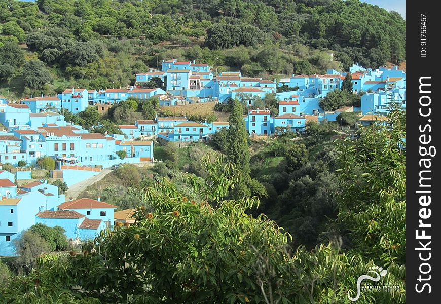 Check out the beautiful &quot;pueblo azul&quot; of Juzcar. A pretty blue village in the Genal Valley, filled with Smurfs and surround by chestnut forests! marbellaescapes.com/tours/private-ronda-tour/. Check out the beautiful &quot;pueblo azul&quot; of Juzcar. A pretty blue village in the Genal Valley, filled with Smurfs and surround by chestnut forests! marbellaescapes.com/tours/private-ronda-tour/