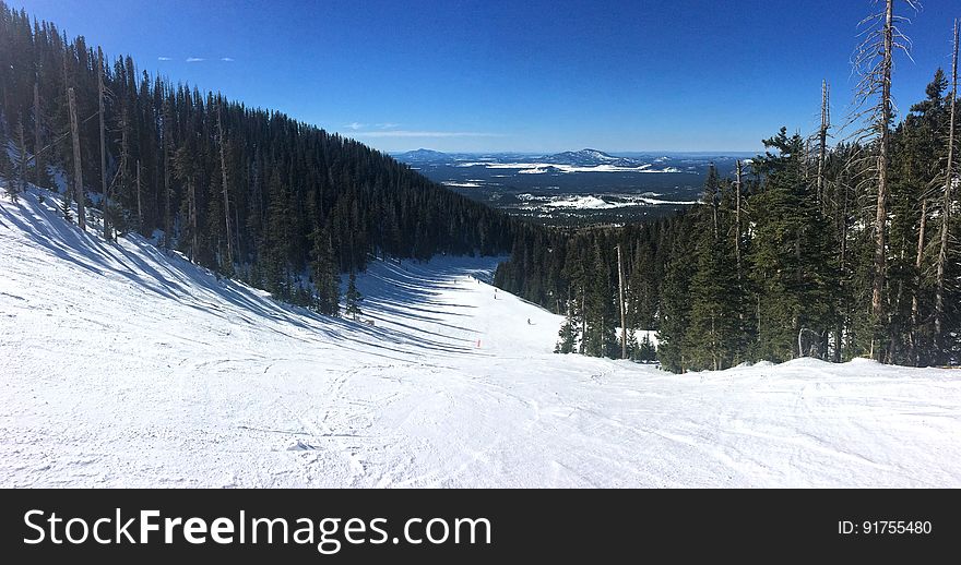 The Arizona Snowbowl is a full-service downhill ski resort in the San Francisco Peaks 14 miles north of Flagstaff, Arizona. This is a view along the blue run section of Volcano trail. Photo by Brady Smith, January 20, 2016. Credit: U.S. Forest Service, Coconino National Forest. See Arizona Snowbowl for information on the Coconino National Forest website. The Arizona Snowbowl is a full-service downhill ski resort in the San Francisco Peaks 14 miles north of Flagstaff, Arizona. This is a view along the blue run section of Volcano trail. Photo by Brady Smith, January 20, 2016. Credit: U.S. Forest Service, Coconino National Forest. See Arizona Snowbowl for information on the Coconino National Forest website.