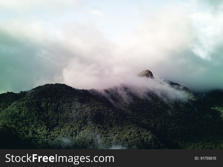 Clouds Over Forested Hillside