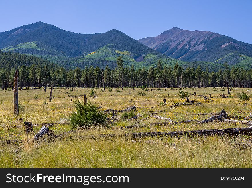 Beginnings of fall color on northern slopes of the San Francisco Peaks. This drive takes you around the north side of Arizona&#x27;s highest mountain, winding through a land of pine forests and aspen groves, open prairies and rustic homesteads. Autumn turns the mountain to gold, filling forest roads and trails with visitors come to enjoy the colorful display. There are a number of places along this route where you can stop to take a hike, enjoy a lunch or even set up a primitive camp. That way you can take more than one day to do this drive or combine it with one or more of the other scenic drives in the vicinity of the San Francisco Peaks. Photo by Deborah Lee Soltesz, September 17, 2016. Source: U.S. Forest Service, Coconino National Forest. See Around the Peaks Loop Scenic Drive for information about this drive on the Coconino National Forest we. Beginnings of fall color on northern slopes of the San Francisco Peaks. This drive takes you around the north side of Arizona&#x27;s highest mountain, winding through a land of pine forests and aspen groves, open prairies and rustic homesteads. Autumn turns the mountain to gold, filling forest roads and trails with visitors come to enjoy the colorful display. There are a number of places along this route where you can stop to take a hike, enjoy a lunch or even set up a primitive camp. That way you can take more than one day to do this drive or combine it with one or more of the other scenic drives in the vicinity of the San Francisco Peaks. Photo by Deborah Lee Soltesz, September 17, 2016. Source: U.S. Forest Service, Coconino National Forest. See Around the Peaks Loop Scenic Drive for information about this drive on the Coconino National Forest we