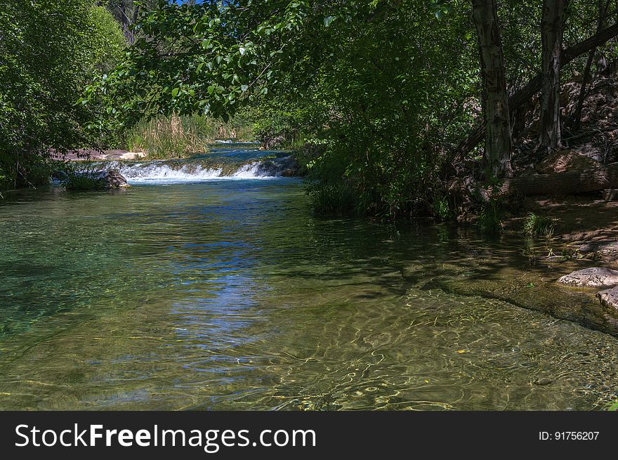 A large, natural waterfall on Fossil Creek is the destination of an easy, one mile hike on Waterfall Trail. A large, deep pool at the base of the fall is a popular swimming hole. Fossil Creek produces 20,000 gallons of water a minute from a series of springs at the bottom of a 1,600 foot deep canyon. This permanent water source has created a stunningly beautiful, green riparian zone rich with flora and fauna at the bottom of this arid canyon in Arizona&#x27;s high desert. Travertine deposits encase whatever happens to fall into the streambed, forming the fossils for which the area is named. These deposits create deep pools along the length of the creek, providing opportunities to find more secluded swimming holes than the popular pool at the waterfall. Fossil Creek is one of two &quot;Wild and Scenic&quot; rivers in Arizona. This designation was achieved when the Irving power plant was decommissioned, and removal of flume and dam on the creek allowed the creek to flow free. Increasing popularity has led to the Coconino and Tonto National Forests to implement a parking permit reservation system in 2016. Reserved parking permits allow visitors to have a parking spot available in their chosen parking lot. Many visitors drive two or three hours to get to the creek. The final descent to the creek at the bottom of a canyon is on an extremely rough, rocky jeep road. In prior years, the area would often be closed to entry when it reached capacity, and potential visitors would be turned away after the long, difficult drive. Photo by Deborah Lee Soltesz, May 4, 2016. For trail and recreation information, see Fossil Creek, Fossil Springs Wilderness, and the Coconino National Forest. A large, natural waterfall on Fossil Creek is the destination of an easy, one mile hike on Waterfall Trail. A large, deep pool at the base of the fall is a popular swimming hole. Fossil Creek produces 20,000 gallons of water a minute from a series of springs at the bottom of a 1,600 foot deep canyon. This permanent water source has created a stunningly beautiful, green riparian zone rich with flora and fauna at the bottom of this arid canyon in Arizona&#x27;s high desert. Travertine deposits encase whatever happens to fall into the streambed, forming the fossils for which the area is named. These deposits create deep pools along the length of the creek, providing opportunities to find more secluded swimming holes than the popular pool at the waterfall. Fossil Creek is one of two &quot;Wild and Scenic&quot; rivers in Arizona. This designation was achieved when the Irving power plant was decommissioned, and removal of flume and dam on the creek allowed the creek to flow free. Increasing popularity has led to the Coconino and Tonto National Forests to implement a parking permit reservation system in 2016. Reserved parking permits allow visitors to have a parking spot available in their chosen parking lot. Many visitors drive two or three hours to get to the creek. The final descent to the creek at the bottom of a canyon is on an extremely rough, rocky jeep road. In prior years, the area would often be closed to entry when it reached capacity, and potential visitors would be turned away after the long, difficult drive. Photo by Deborah Lee Soltesz, May 4, 2016. For trail and recreation information, see Fossil Creek, Fossil Springs Wilderness, and the Coconino National Forest.