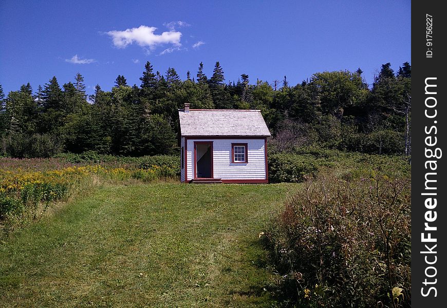 222 - Parc national de l&#x27;ÃŽle-Bonaventure-et-du-Rocher-PercÃ© : Sentier Chemin-du-Roy