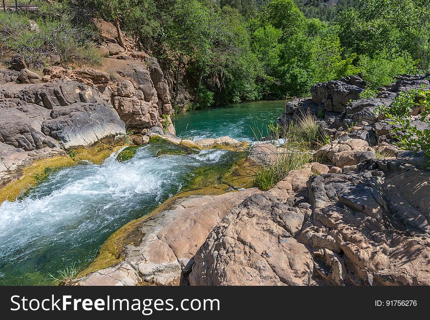 Fossil Creek produces 20,000 gallons of water a minute from a series of springs at the bottom of a 1,600 foot deep canyon. This permanent water source has created a stunningly beautiful, green riparian zone rich with flora and fauna at the bottom of this arid canyon in Arizona&#x27;s high desert. Travertine deposits encase whatever happens to fall into the streambed, forming the fossils for which the area is named. These deposits create deep pools along the length of the creek, providing opportunities to find more secluded swimming holes than the popular pool at the waterfall. Fossil Creek is one of two &quot;Wild and Scenic&quot; rivers in Arizona. This designation was achieved when the Irving power plant was decommissioned, and removal of flume and dam on the creek allowed the creek to flow free. Increasing popularity has led to the Coconino and Tonto National Forests to implement a parking permit reservation system in 2016. Reserved parking permits allow visitors to have a parking spot available in their chosen parking lot. Many visitors drive two or three hours to get to the creek. The final descent to the creek at the bottom of a canyon is on an extremely rough, rocky jeep road. In prior years, the area would often be closed to entry when it reached capacity, and potential visitors would be turned away after the long, difficult drive. Photo by Deborah Lee Soltesz, May 4, 2016. For trail and recreation information, see Fossil Creek, Fossil Springs Wilderness, and the Coconino National Forest. Fossil Creek produces 20,000 gallons of water a minute from a series of springs at the bottom of a 1,600 foot deep canyon. This permanent water source has created a stunningly beautiful, green riparian zone rich with flora and fauna at the bottom of this arid canyon in Arizona&#x27;s high desert. Travertine deposits encase whatever happens to fall into the streambed, forming the fossils for which the area is named. These deposits create deep pools along the length of the creek, providing opportunities to find more secluded swimming holes than the popular pool at the waterfall. Fossil Creek is one of two &quot;Wild and Scenic&quot; rivers in Arizona. This designation was achieved when the Irving power plant was decommissioned, and removal of flume and dam on the creek allowed the creek to flow free. Increasing popularity has led to the Coconino and Tonto National Forests to implement a parking permit reservation system in 2016. Reserved parking permits allow visitors to have a parking spot available in their chosen parking lot. Many visitors drive two or three hours to get to the creek. The final descent to the creek at the bottom of a canyon is on an extremely rough, rocky jeep road. In prior years, the area would often be closed to entry when it reached capacity, and potential visitors would be turned away after the long, difficult drive. Photo by Deborah Lee Soltesz, May 4, 2016. For trail and recreation information, see Fossil Creek, Fossil Springs Wilderness, and the Coconino National Forest.