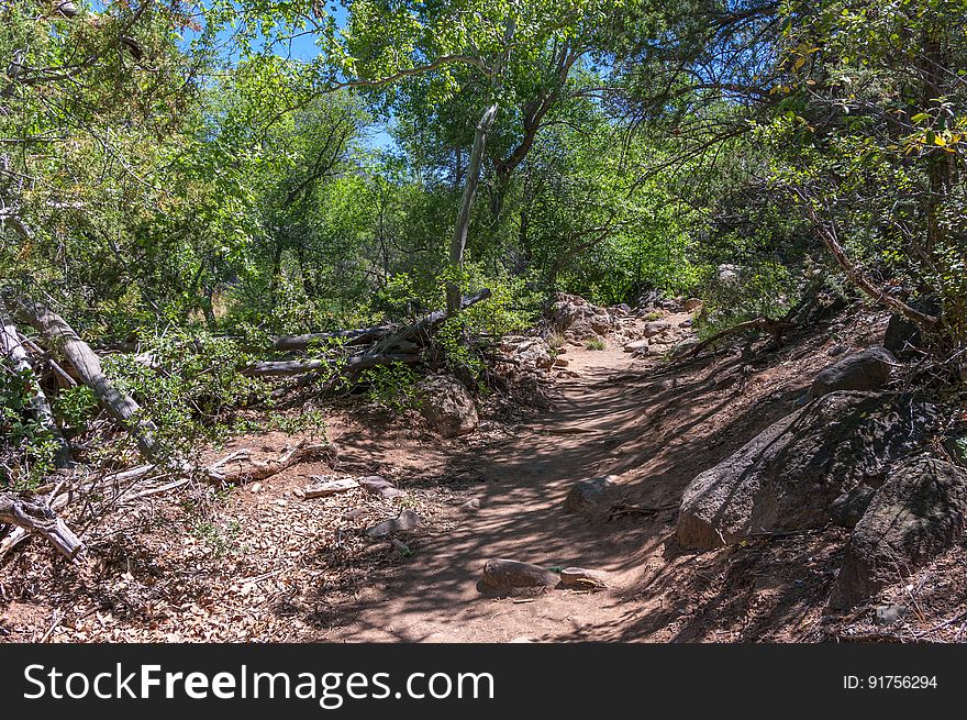 Waterfall Trail on Fossil Creek