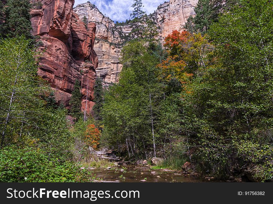 West Fork of Oak Creek Canyon No. 108