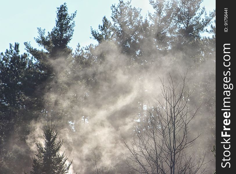 Campfire smoke climbs on a cold morning near a tree farm. Campfire smoke climbs on a cold morning near a tree farm