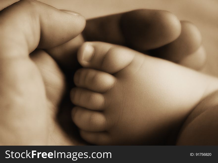 A person holding the foot of a newborn baby in their hand. A person holding the foot of a newborn baby in their hand.