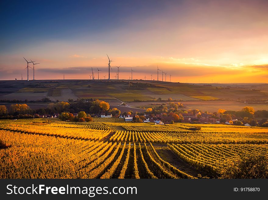 Scenic View of Agricultural Field Against Sky during Sunset