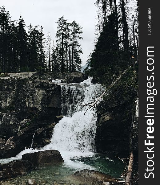 Scenic View of Waterfall in Forest Against Sky