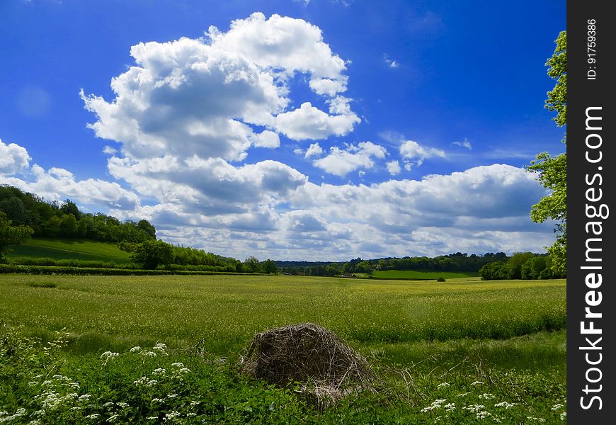 A landscape with green fields and blue skies with white clouds above.