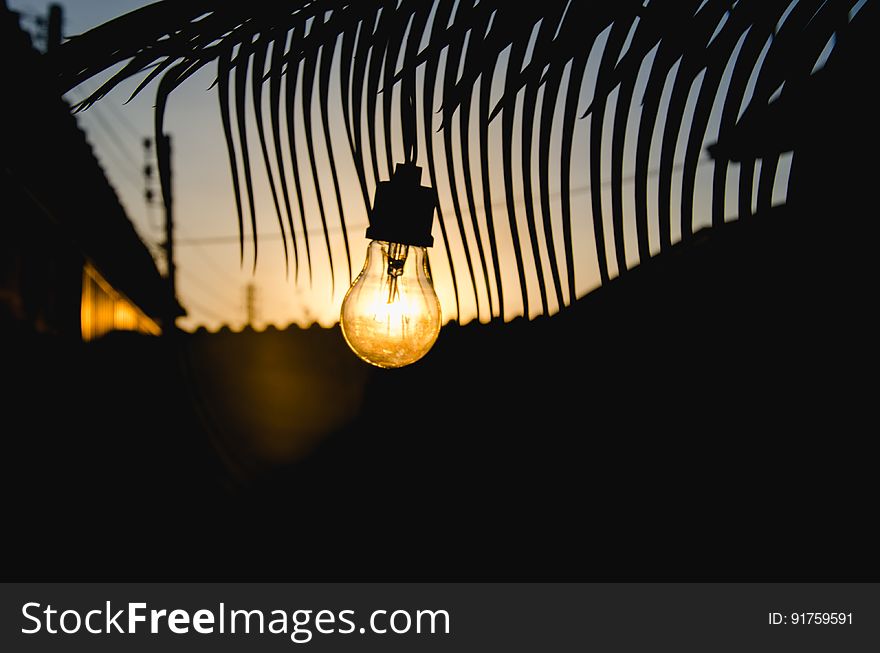 Closeup of illuminated light bulb with fronds of a palm tree seen behind and the hint of a golden sunrise in the distance. Closeup of illuminated light bulb with fronds of a palm tree seen behind and the hint of a golden sunrise in the distance.