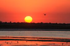 Red Sunset On The Sea Stock Images Red Sunset On The Sea Stock Images