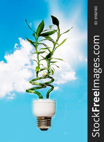 Light bulb with plant against blue sky. Light bulb with plant against blue sky