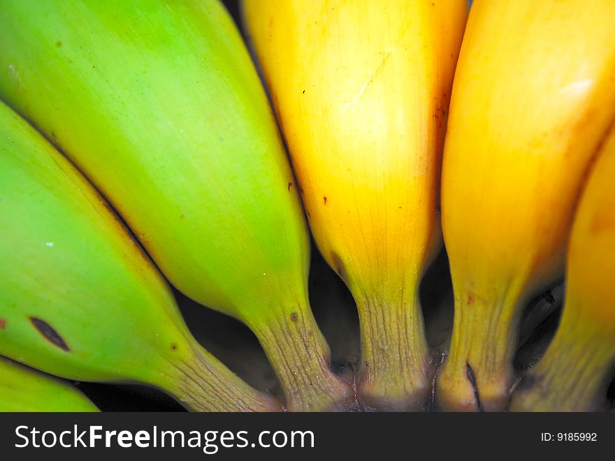 Close Up Shot Of Green And Yellow Bananas