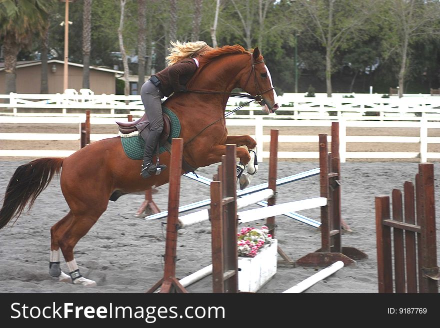 Blond Woman Jumping Horse Over Gate