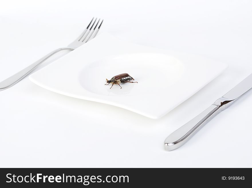 Table prepared for dinner with a chafer beetle sitting on plate. Table prepared for dinner with a chafer beetle sitting on plate