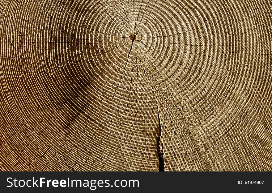 Wood in detail. A section of wood suitable for background or web use. Wood in detail. A section of wood suitable for background or web use.