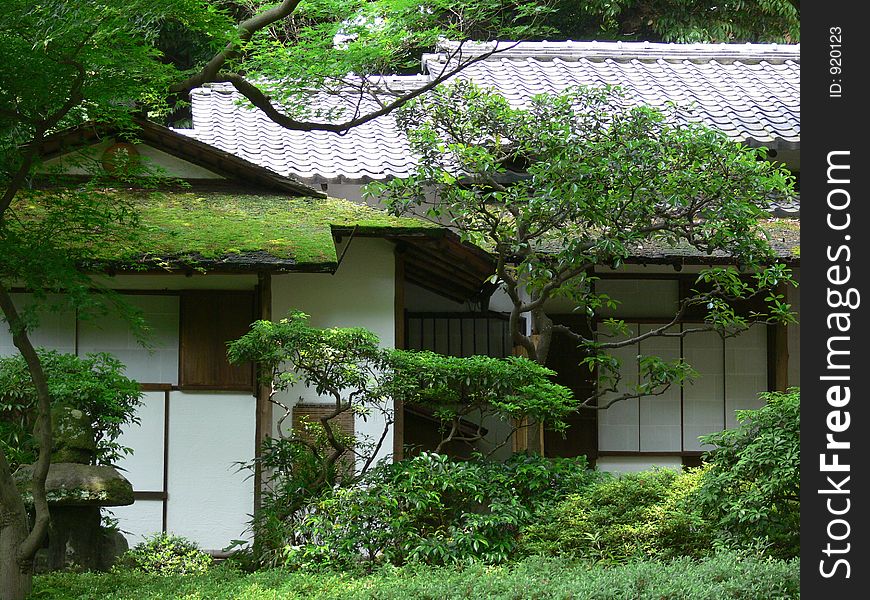 Japanese tea house surrounded by trees