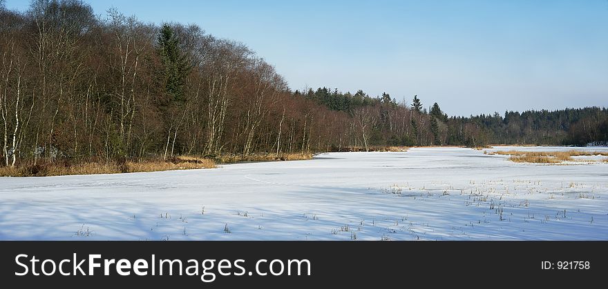 Panorama of lake and forest in wintertime in Denmark