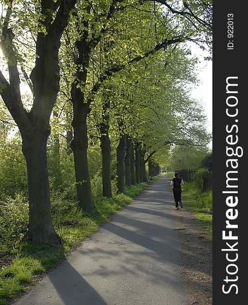 Person is running in the soft evening light in an allee. Person is running in the soft evening light in an allee