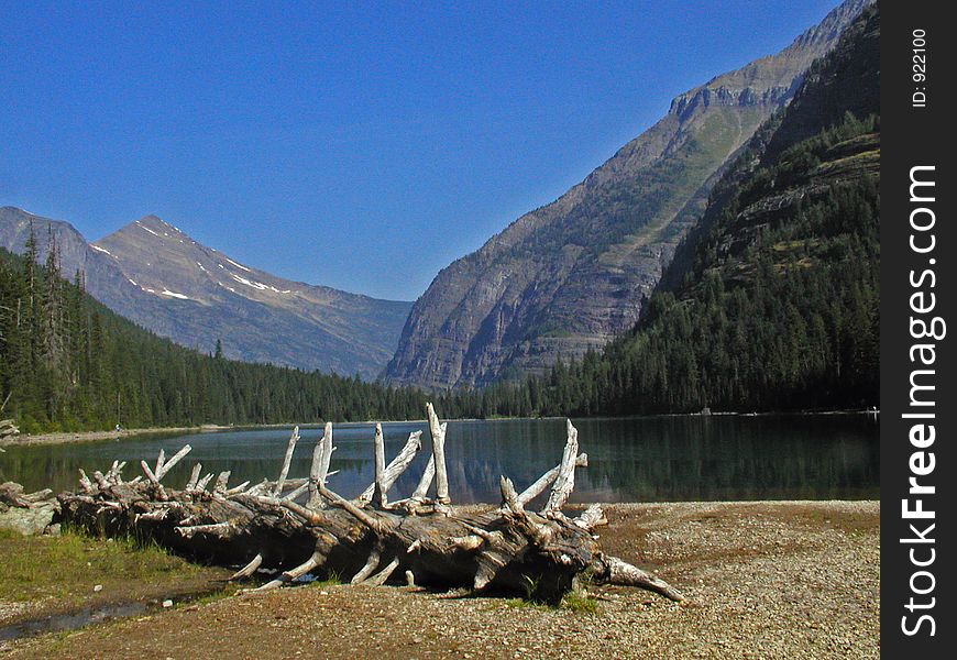 This picture of the dead log with all the branches and the lake was taken in Glacier National Park. This picture of the dead log with all the branches and the lake was taken in Glacier National Park.