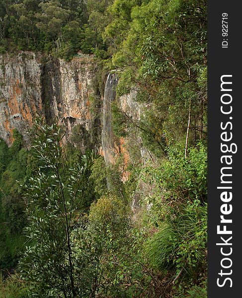 Falls at Springbrook, Queensland, Australia. Falls at Springbrook, Queensland, Australia