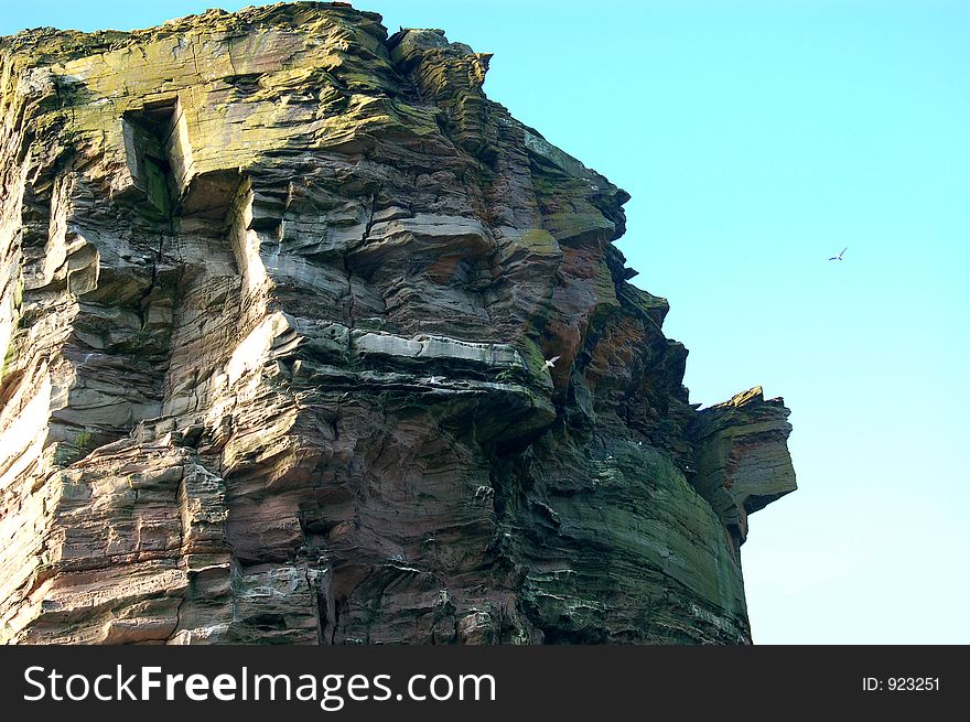 Rugged weathered cliff at Noss in the Shetland Islands. Rugged weathered cliff at Noss in the Shetland Islands