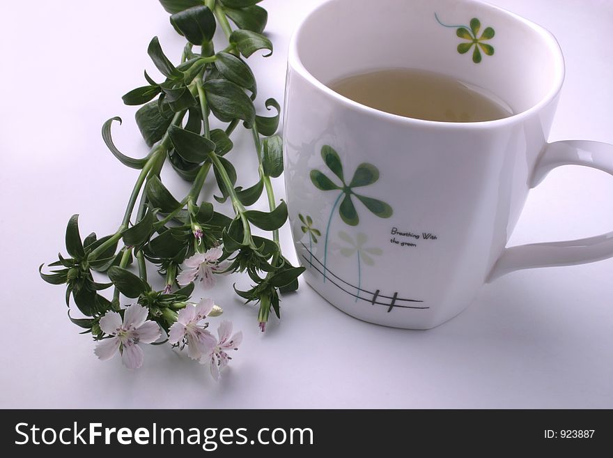 Tea cup and flower. Tea cup and flower