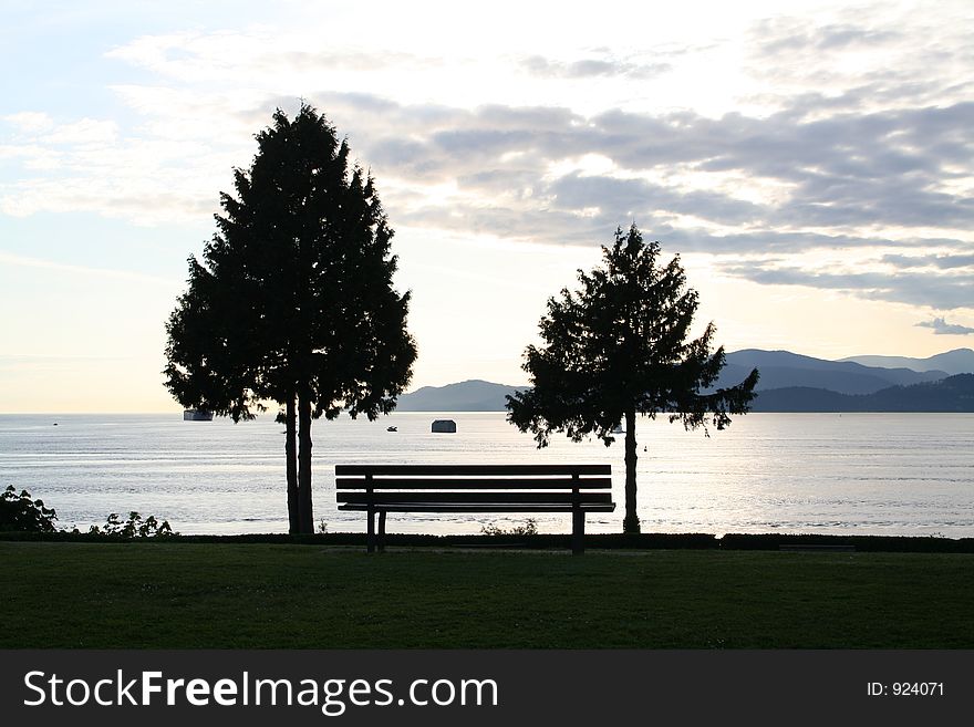 Bench and trees at sunset