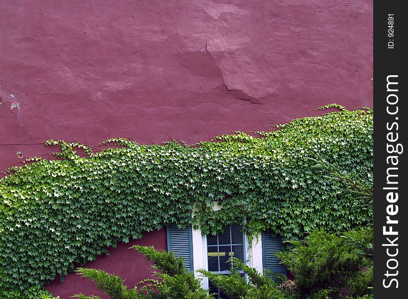 An old building in Sackets Harbor, NY with Ivy growing on the side of it. An old building in Sackets Harbor, NY with Ivy growing on the side of it.