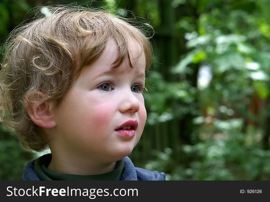 Surprised kid in a wood investigates nature. Surprised kid in a wood investigates nature