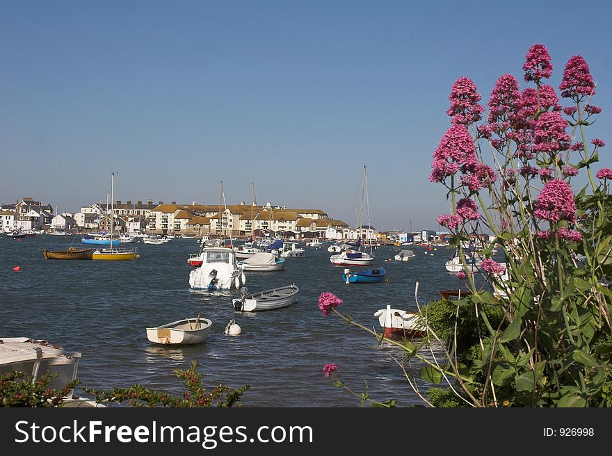 Purple flowers to side with sea,boats and homes. Purple flowers to side with sea,boats and homes