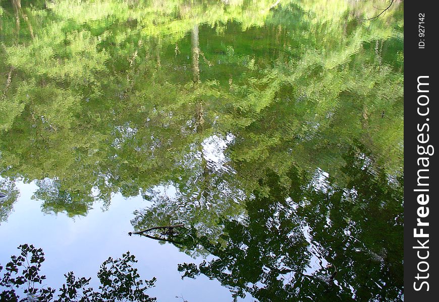 Reflections in a small pond looks like an artist painted it. Reflections in a small pond looks like an artist painted it