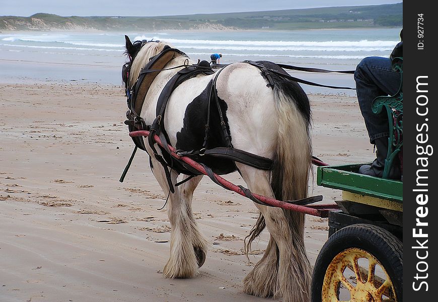 A horse and cart working with children on the beach at a local fete. A horse and cart working with children on the beach at a local fete.