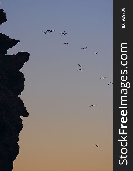 Hawks above Falcone Cape, Stintino, Sardinia, Italy. Hawks above Falcone Cape, Stintino, Sardinia, Italy