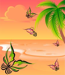 Summer Background Royalty Free Stock Images Summer Background Royalty Free Stock Images