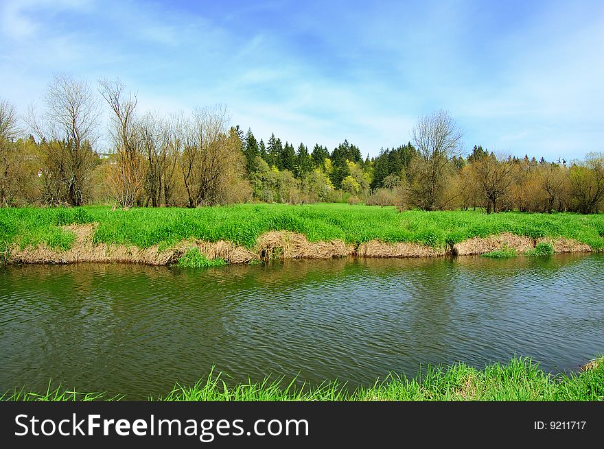 View of Salmon Creek running through grass marsh. View of Salmon Creek running through grass marsh.