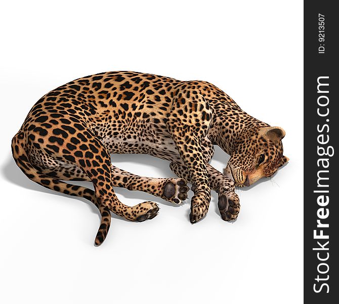 Dangerous Big Cat Leopard With Clipping Path Over White