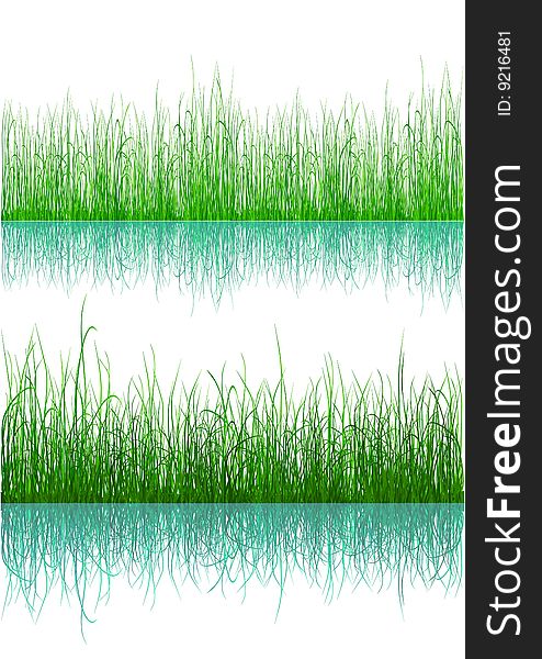 Green grass with reflection isolated on white. Additional vector format in EPS (v.8). Green grass with reflection isolated on white. Additional vector format in EPS (v.8).