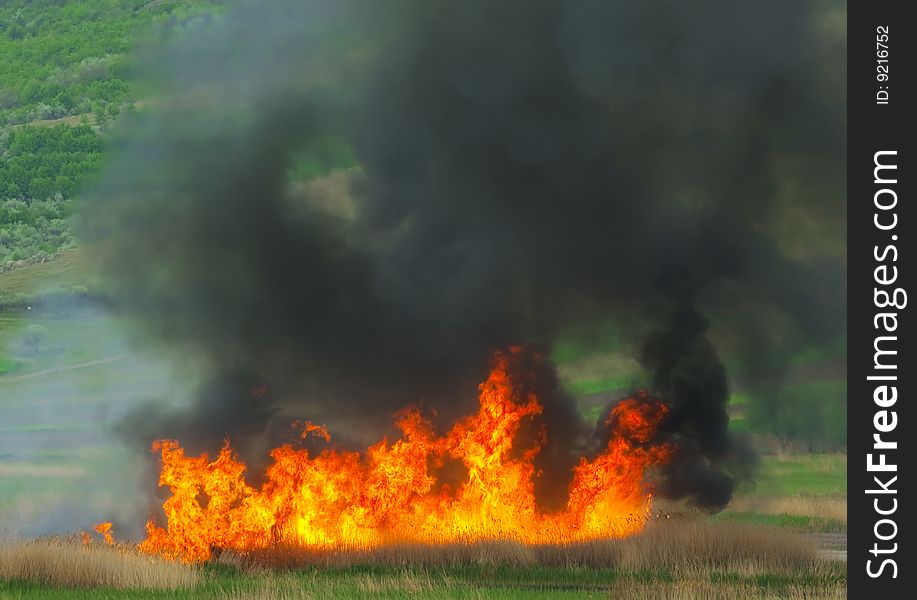 Big fire on a green field. Big fire on a green field