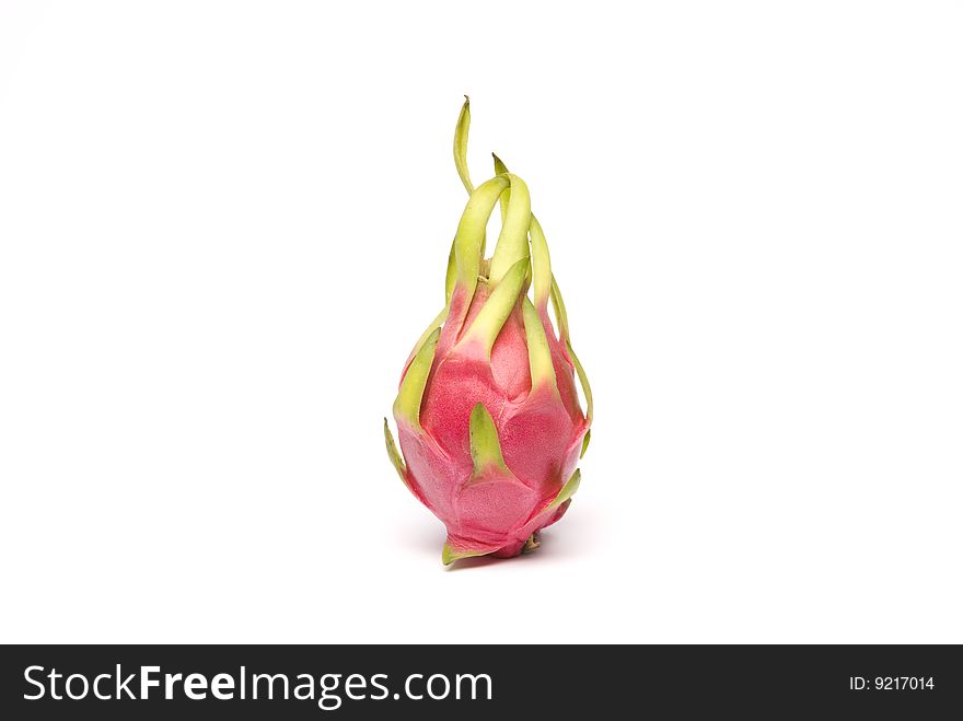 A pitaya (or pitahaya) is the fruit of several cactus species. It is commonly known as dragon fruit. Pitayas are rich in fiber and minerals, notably phosphorus and calcium. Red Pitaya has red-skinned fruit with white flesh. A pitaya (or pitahaya) is the fruit of several cactus species. It is commonly known as dragon fruit. Pitayas are rich in fiber and minerals, notably phosphorus and calcium. Red Pitaya has red-skinned fruit with white flesh.