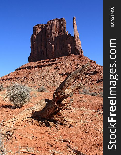 Monument Valley mitten close up with tree trunk